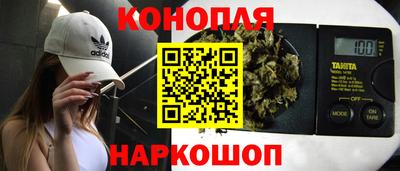 прущие крисы Гай