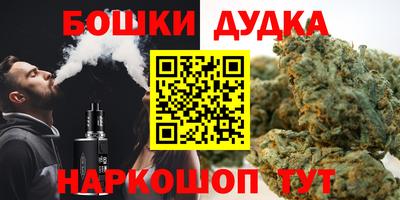 МДПВ Гатчина