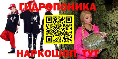прущие крисы Гай