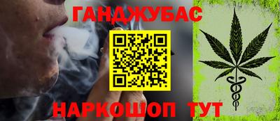 прущие крисы Гай