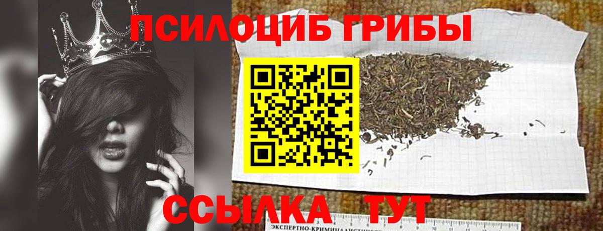 Псилоцибиновые грибы GOLDEN TEACHER Воскресенск